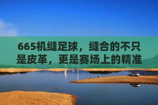 665机缝足球，缝合的不只是皮革，更是赛场上的精准与热爱，665机缝足球，缝合皮革，更缝合赛场精准与热爱