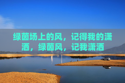 绿茵场上的风，记得我的潇洒，绿茵风，记我潇洒