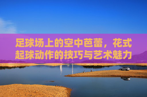 足球场上的空中芭蕾，花式起球动作的技巧与艺术魅力