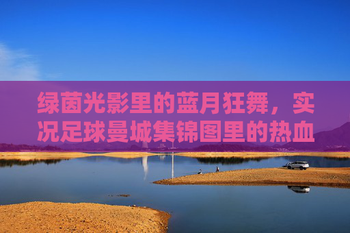 绿茵光影里的蓝月狂舞，实况足球曼城集锦图里的热血与诗篇，绿茵光影蓝月狂舞，实况足球曼城集锦热血诗篇
