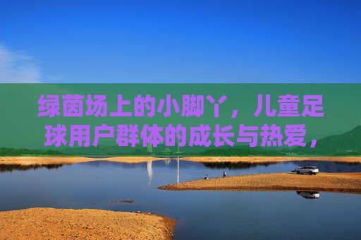 绿茵场上的小脚丫，儿童足球用户群体的成长与热爱，绿茵场上的小脚丫，儿童足球的成长与热爱