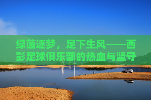 绿茵逐梦，足下生风——西彭足球俱乐部的热血与坚守