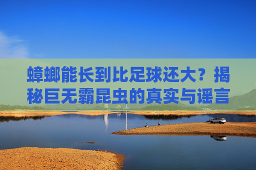蟑螂能长到比足球还大？揭秘巨无霸昆虫的真实与谣言，蟑螂真能长成足球巨无霸？揭秘昆虫大小真相与谣言