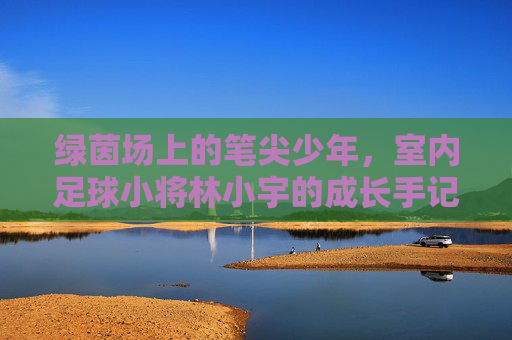 绿茵场上的笔尖少年，室内足球小将林小宇的成长手记，笔尖少年林小宇的足球成长手记