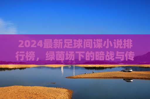 2024最新足球间谍小说排行榜，绿茵场下的暗战与传奇