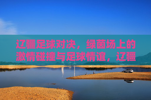 辽疆足球对决，绿茵场上的激情碰撞与足球情谊，辽疆绿茵对决，激情碰撞与足球情谊