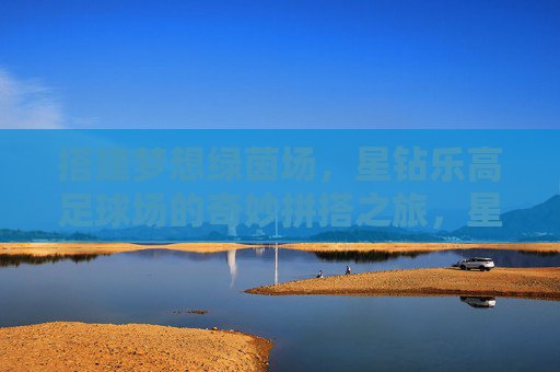 搭建梦想绿茵场，星钻乐高足球场的奇妙拼搭之旅，星钻乐高足球场，梦想绿茵场的奇妙拼搭