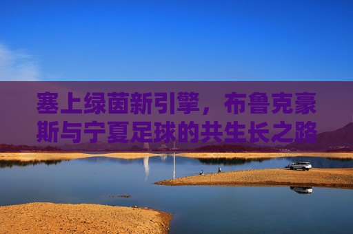 塞上绿茵新引擎，布鲁克豪斯与宁夏足球的共生长之路，布鲁克豪斯与宁夏足球，塞上绿茵的共生长引擎