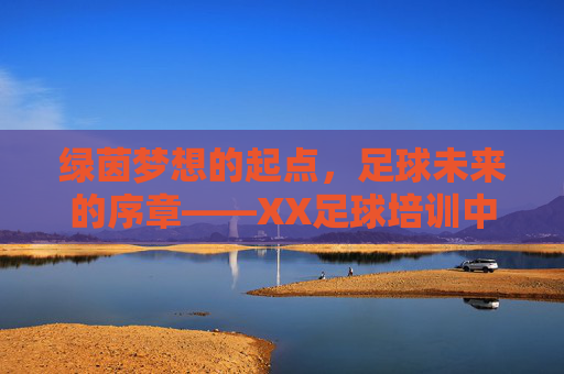 绿茵梦想的起点，足球未来的序章——XX足球培训中心海报背后的成长密码，绿茵起点，足球序章——XX足球培训中心的成长密码