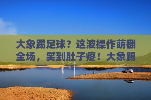 大象踢足球？这波操作萌翻全场，笑到肚子疼！大象踢足球萌翻全场，笑到肚子疼！