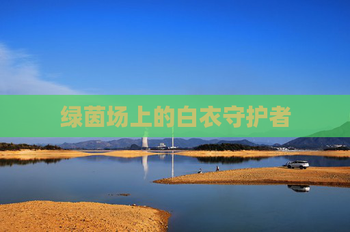 绿茵场上的白衣守护者