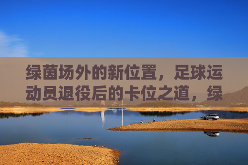 绿茵场外的新位置，足球运动员退役后的卡位之道，绿茵场外新位置，退役球员的卡位之道