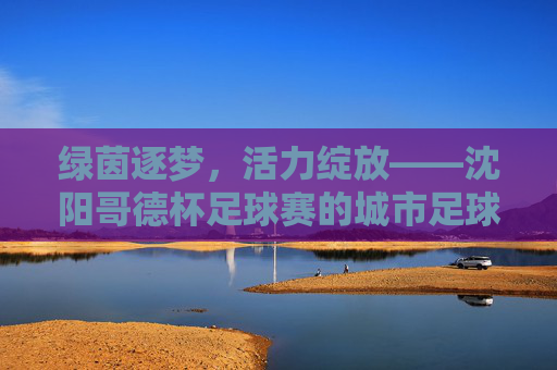 绿茵逐梦，活力绽放——沈阳哥德杯足球赛的城市足球盛宴，沈阳哥德杯足球赛，绿茵逐梦，城市足球盛宴