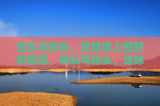 低头与抬头，足球场上视野的智慧，低头与抬头，足球场上的视野智慧
