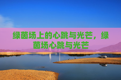 绿茵场上的心跳与光芒，绿茵场心跳与光芒