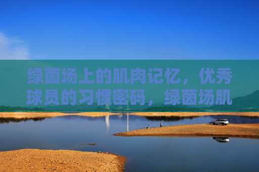 绿茵场上的肌肉记忆，优秀球员的习惯密码，绿茵场肌肉记忆，优秀球员的习惯密码
