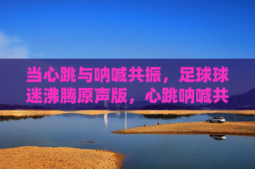 当心跳与呐喊共振，足球球迷沸腾原声版，心跳呐喊共振，足球球迷沸腾原声