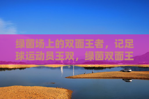 绿茵场上的双面王者，记足球运动员王双，绿茵双面王，王双