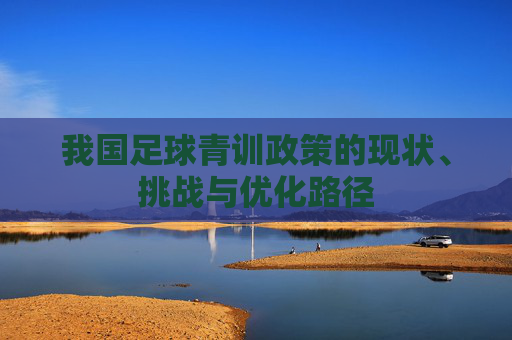 我国足球青训政策的现状、挑战与优化路径
