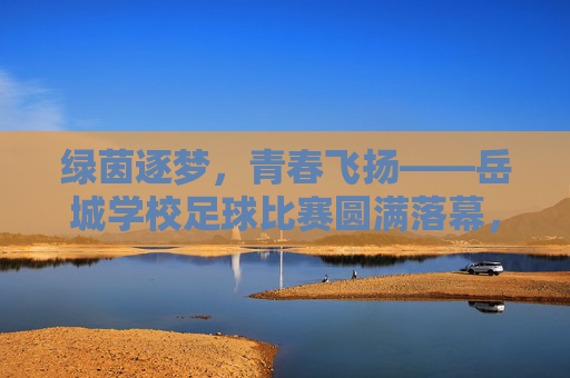 绿茵逐梦，青春飞扬——岳城学校足球比赛圆满落幕，绿茵逐梦，青春飞扬——岳城学校足球比赛圆满落幕