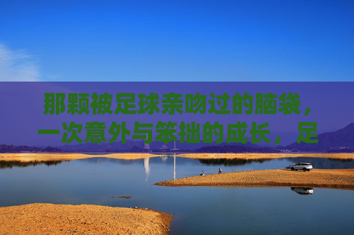 那颗被足球亲吻过的脑袋，一次意外与笨拙的成长，足球吻过的脑袋，一次笨拙的成长