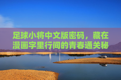 足球小将中文版密码，藏在漫画字里行间的青春通关秘籍，足球小将中文版，藏在字里行间的青春通关密码