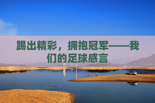 踢出精彩，拥抱冠军——我们的足球感言
