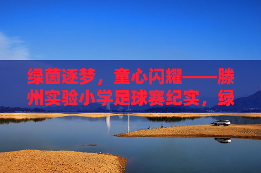 绿茵逐梦，童心闪耀——滕州实验小学足球赛纪实，绿茵逐梦，童心闪耀——滕州实验小学足球赛纪实