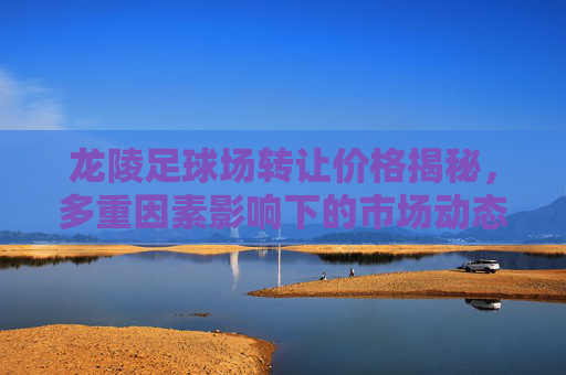 龙陵足球场转让价格揭秘，多重因素影响下的市场动态，龙陵足球场转让价格揭秘，多重因素影响下的市场动态
