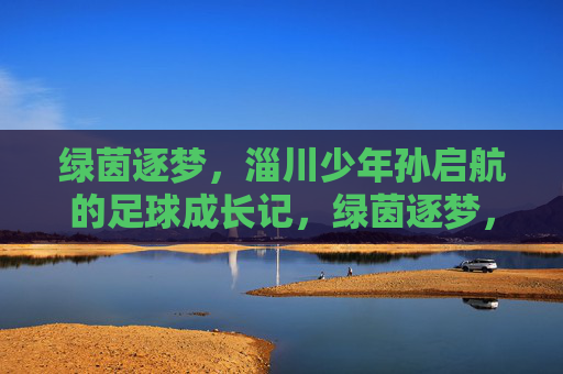 绿茵逐梦，淄川少年孙启航的足球成长记，绿茵逐梦，淄川少年孙启航成长记
