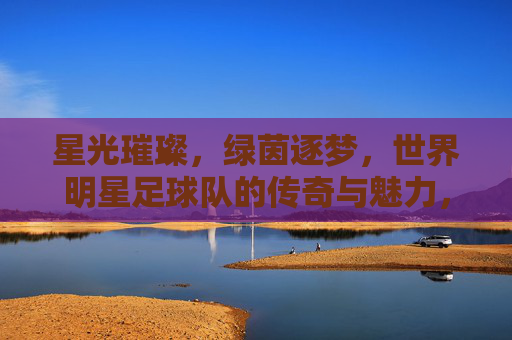 星光璀璨，绿茵逐梦，世界明星足球队的传奇与魅力，星光璀璨绿茵逐梦，世界明星足球队的传奇魅力