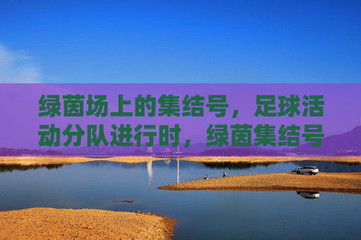 绿茵场上的集结号，足球活动分队进行时，绿茵集结号，足球分队行动进行时
