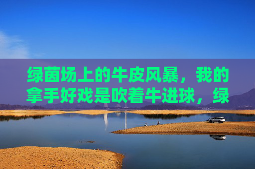 绿茵场上的牛皮风暴，我的拿手好戏是吹着牛进球，绿茵场吹牛进球，我的牛皮风暴