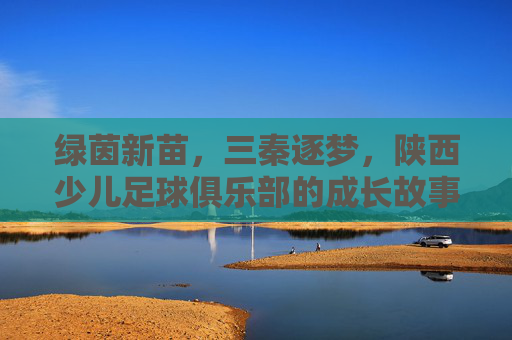 绿茵新苗，三秦逐梦，陕西少儿足球俱乐部的成长故事，三秦新苗逐梦绿茵