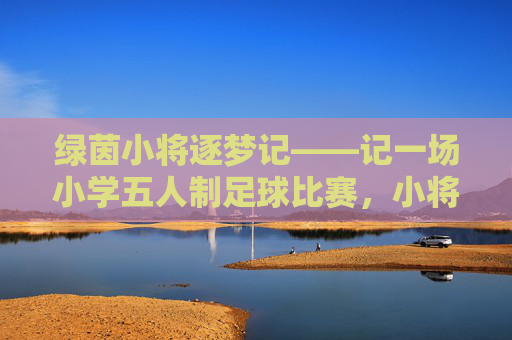 绿茵小将逐梦记——记一场小学五人制足球比赛，小将逐梦绿茵场