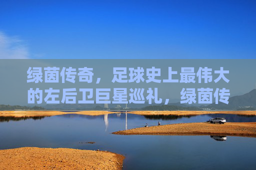 绿茵传奇，足球史上最伟大的左后卫巨星巡礼，绿茵传奇，足球史上最伟大左后卫巨星巡礼