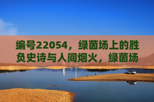 编号22054，绿茵场上的胜负史诗与人间烟火，绿茵场胜负史诗，人间烟火的赛场篇章
