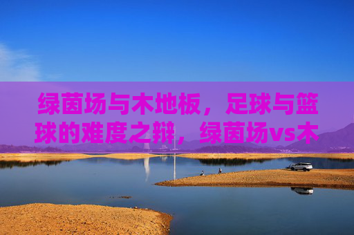 绿茵场与木地板，足球与篮球的难度之辩，绿茵场vs木地板，足球与篮球的难度之辩