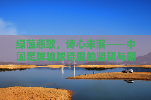 绿茵悲歌，诗心未泯——中国足球输球诗里的坚韧与期盼，中国足球输球诗，悲歌里的坚韧与诗心