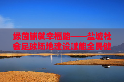 绿茵铺就幸福路——盐城社会足球场地建设赋能全民健身，盐城绿茵铺就全民健身幸福路