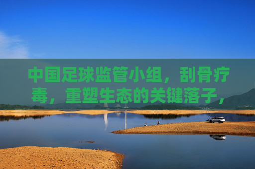 中国足球监管小组，刮骨疗毒，重塑生态的关键落子，中国足球监管小组，刮骨疗毒重塑生态的关键落子