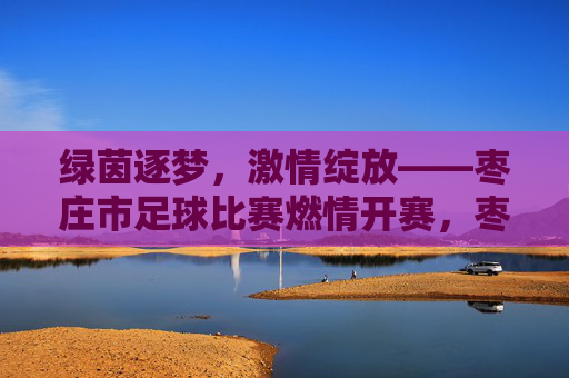 绿茵逐梦，激情绽放——枣庄市足球比赛燃情开赛，枣庄绿茵逐梦，足球燃情开赛