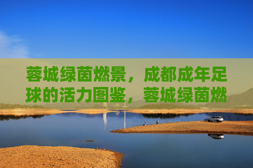 蓉城绿茵燃景，成都成年足球的活力图鉴，蓉城绿茵燃景，成年足球活力图鉴