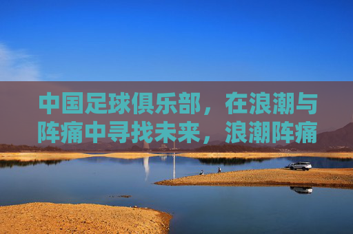 中国足球俱乐部，在浪潮与阵痛中寻找未来，浪潮阵痛中，中国足球俱乐部寻未来