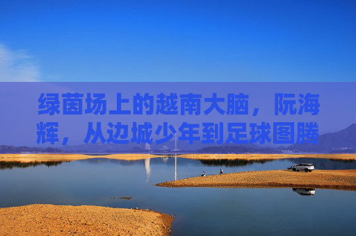 绿茵场上的越南大脑，阮海辉，从边城少年到足球图腾，越南大脑阮海辉，从边城少年到足球图腾