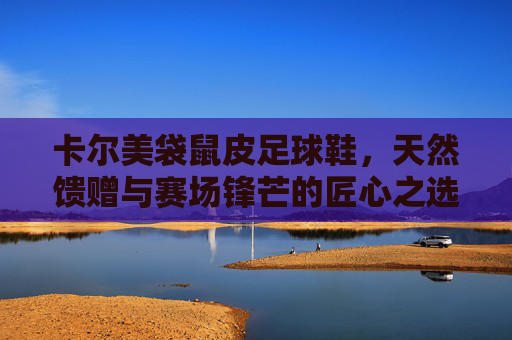 卡尔美袋鼠皮足球鞋，天然馈赠与赛场锋芒的匠心之选，卡尔美袋鼠皮足球鞋，天然馈赠与赛场锋芒的匠心之选