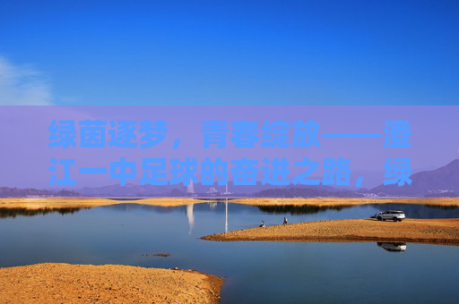 绿茵逐梦，青春绽放——澄江一中足球的奋进之路，绿茵逐梦，青春绽放——澄江一中足球奋进之路