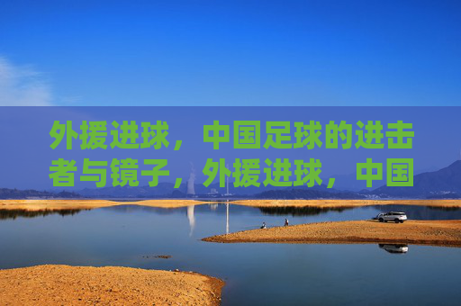 外援进球，中国足球的进击者与镜子，外援进球，中国足球的进击者与镜鉴