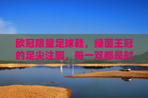 欧冠限量足球鞋，绿茵王冠的足尖注脚，每一双都是时光的收藏