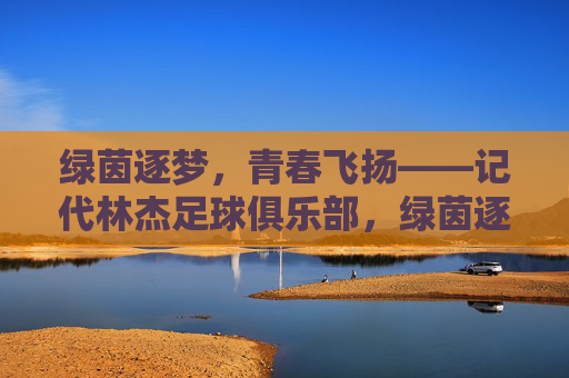 绿茵逐梦，青春飞扬——记代林杰足球俱乐部，绿茵逐梦，青春飞扬——记代林杰足球俱乐部